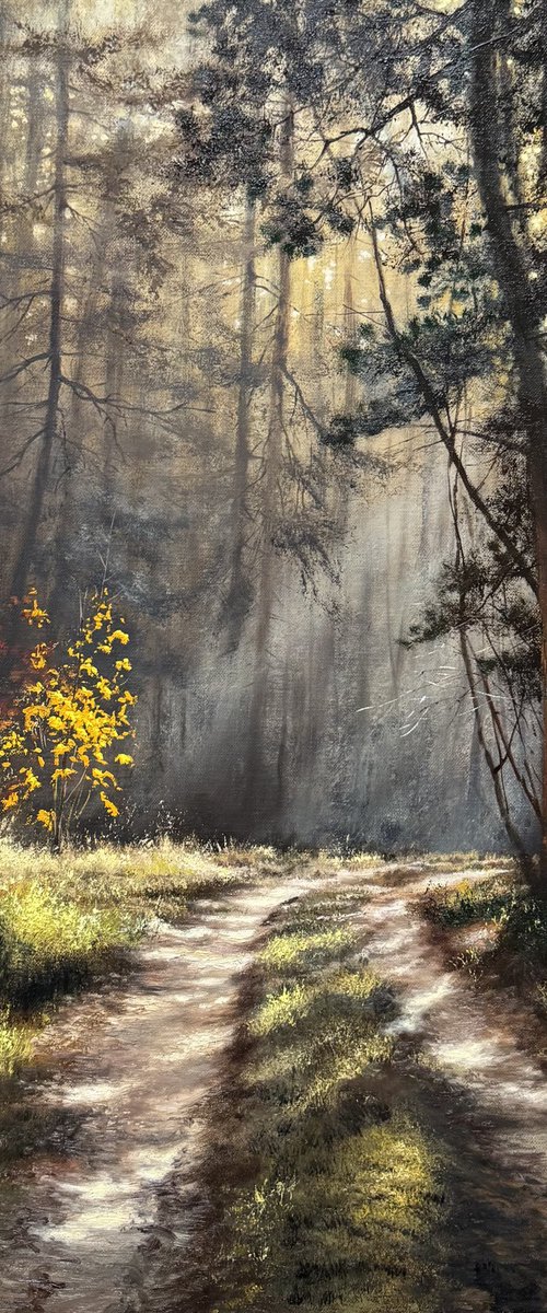 Autumn morning by Igor Dubovoy