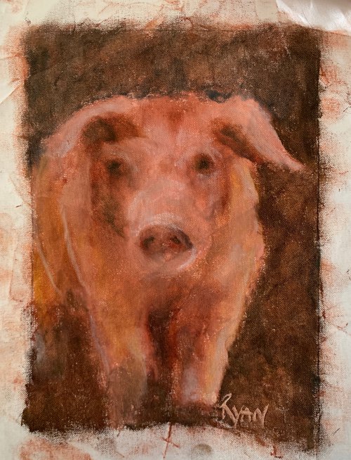 Pig by Ryan  Louder