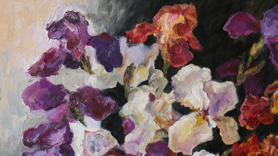 Velvet Iris Symphony