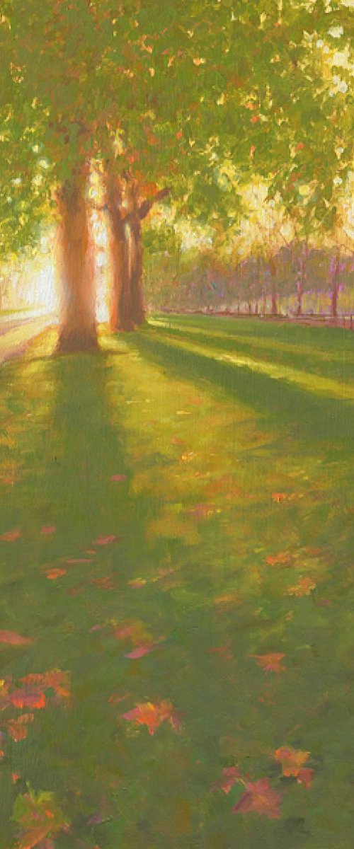 Autumn, St James's Park by Mark Harrison