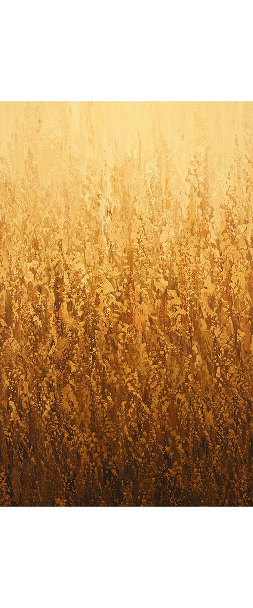 Field of Summer Gold by Suzanne Vaughan