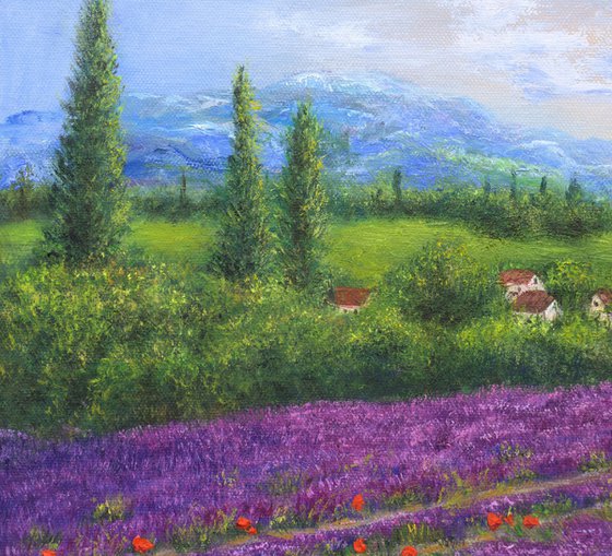 Purple lavender field