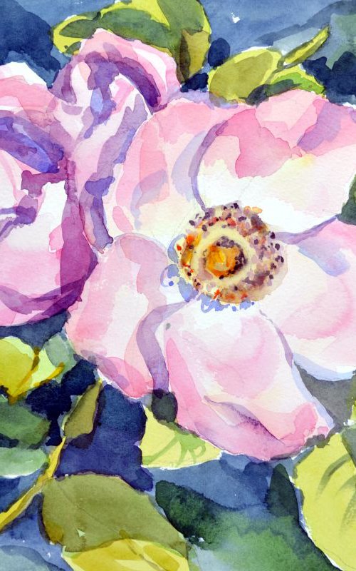 Wild rose by Irina Ushakova