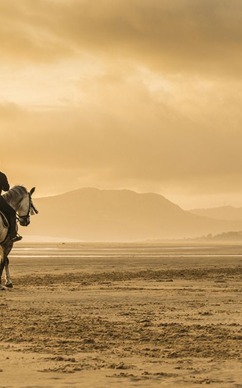 LONE RIDER by Andrew Lever