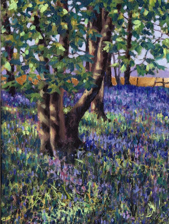 Bluebell Wood