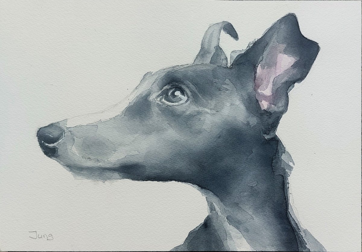 Fetch - dog portrait by Dunja Jung