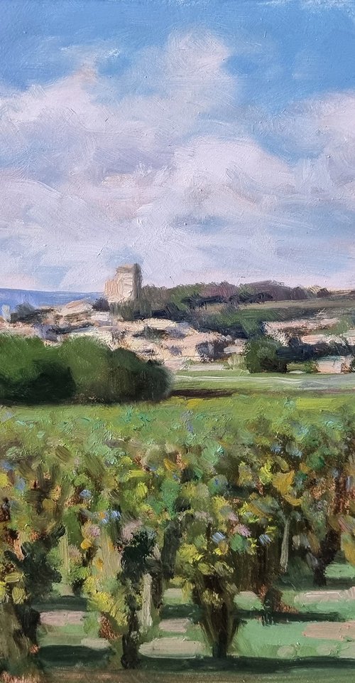 Vineyards at Châteauneuf-du-Pape by Pascal Giroud