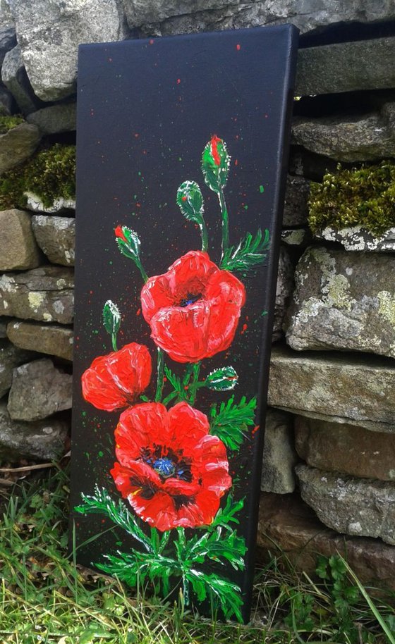 "Poppies on black"