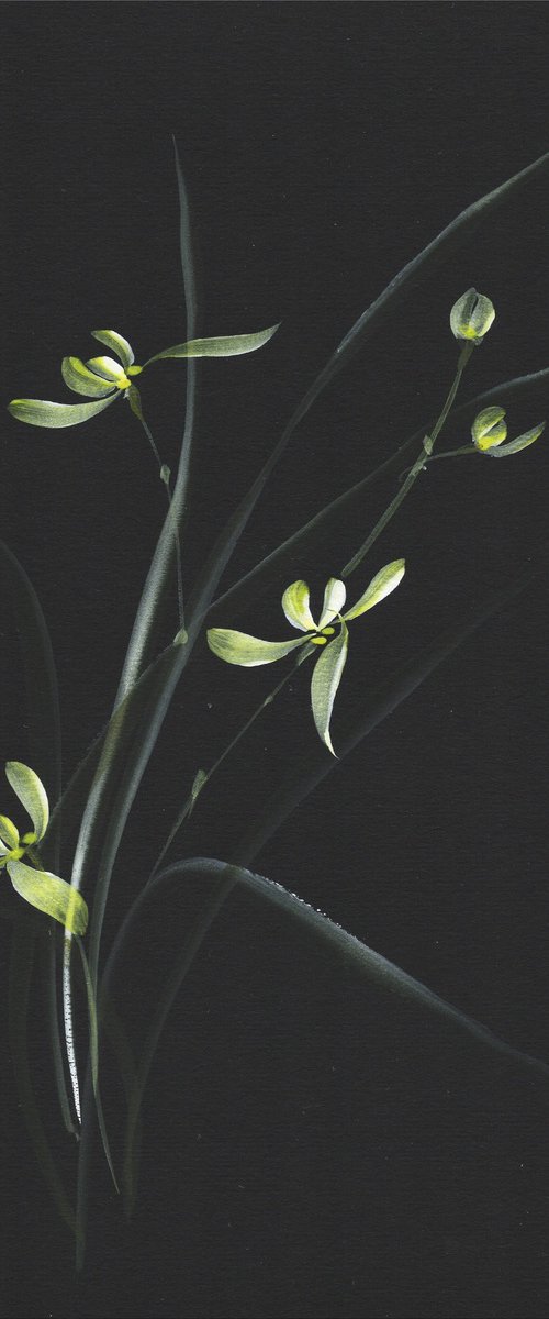 Moonlit Orchid by Hai Doan