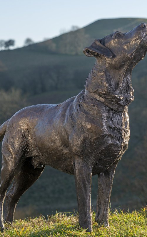 "Leo" Labrador Bronze Resin by Tanya Russell