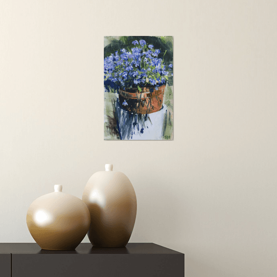 Lobelia