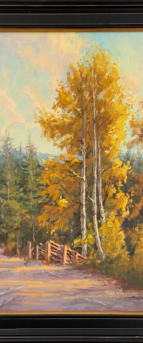 Aspen Golden Glow Landscape by Tatyana Fogarty