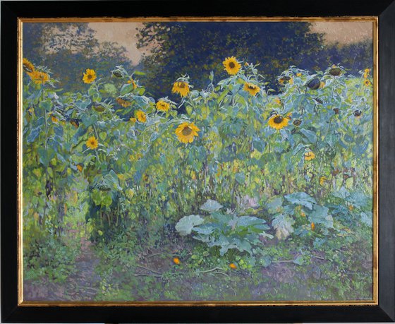 Sunflowers in Kolomenskoye