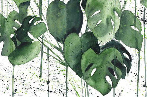 Cover image for Go green collection