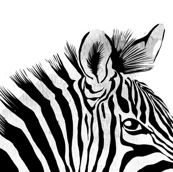 ZEBRA - MODERN WALL ART