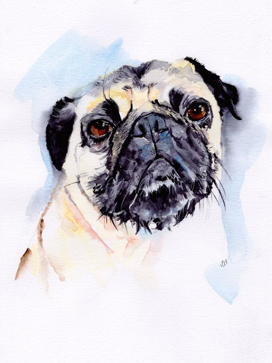 Pug