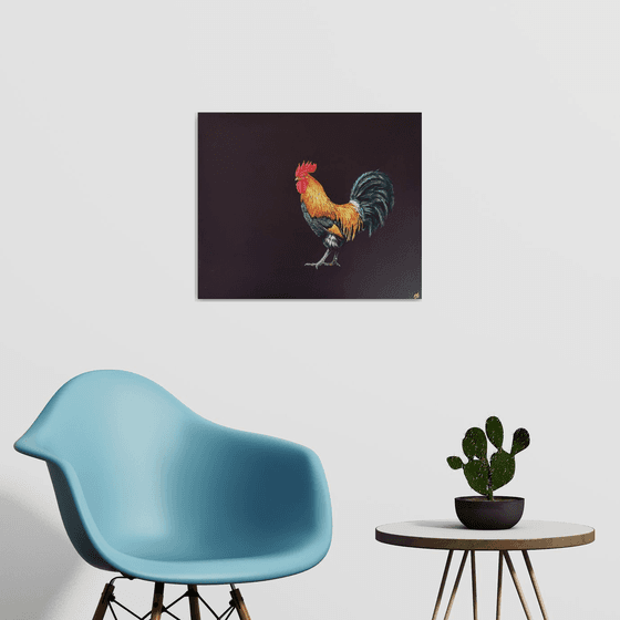 Lonely cock