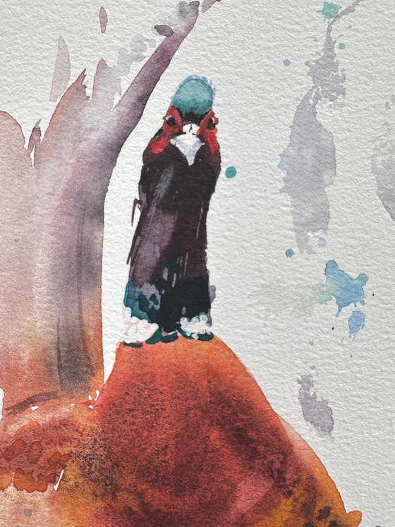 Birds: Penguin and Pheasant