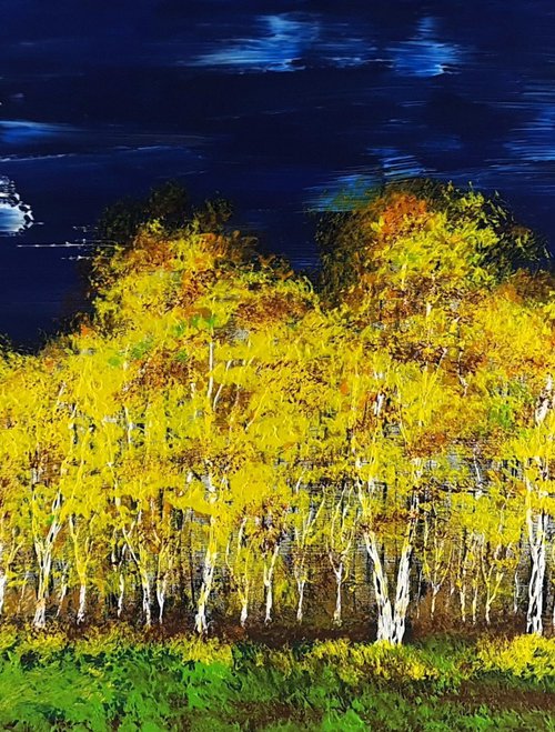 Autumn birch forest by Daniel Urbaník