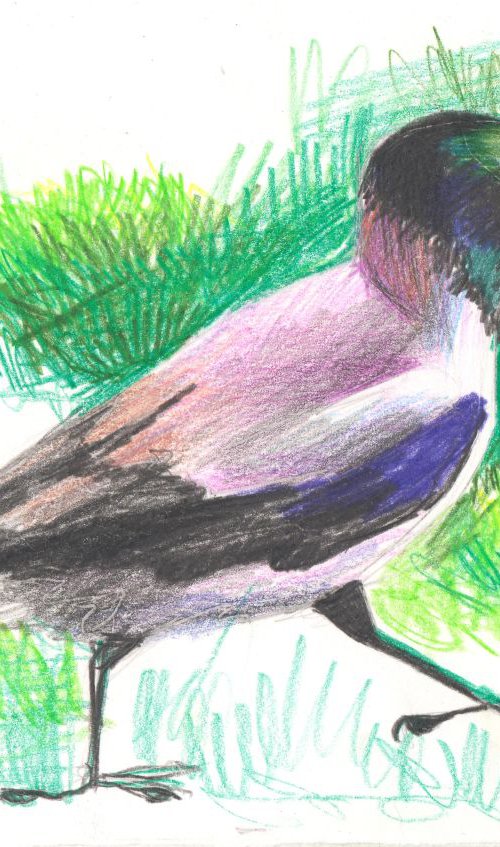 Bird crow sketch. by Mag Verkhovets