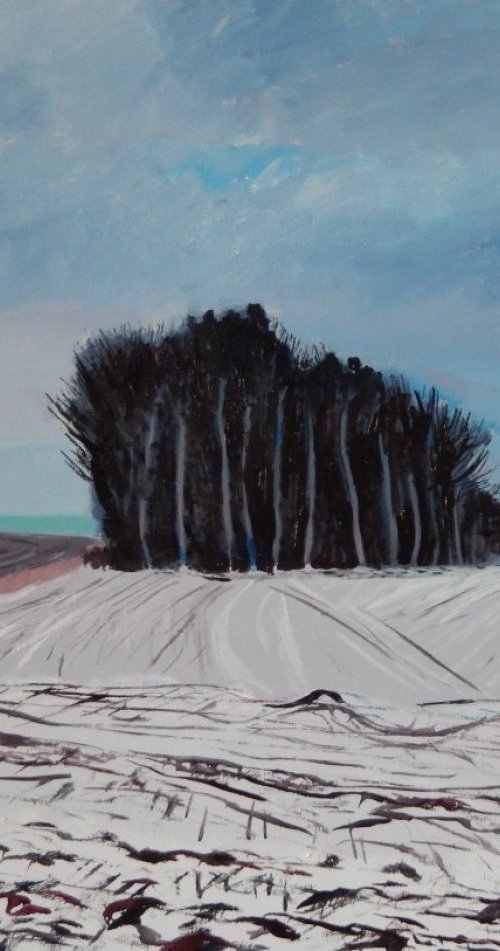 Winter Fields Near Coilinsburgh, Fife by Stephen Howard Harrison