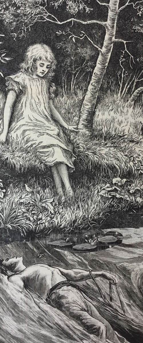 A Grassy Bank by Tudor Evans