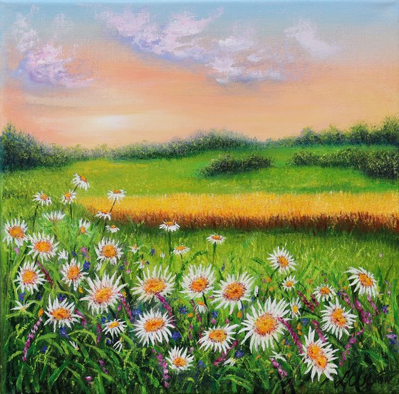 Daisy meadow