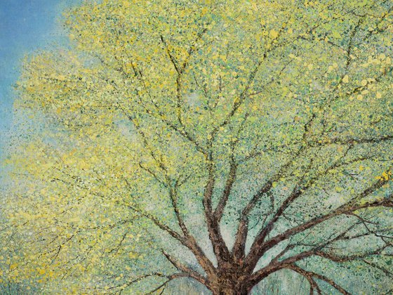 SPRINGTIME ON THE OLD OAK PATH