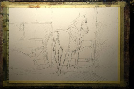 Horse in the barn
