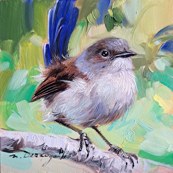 Birding