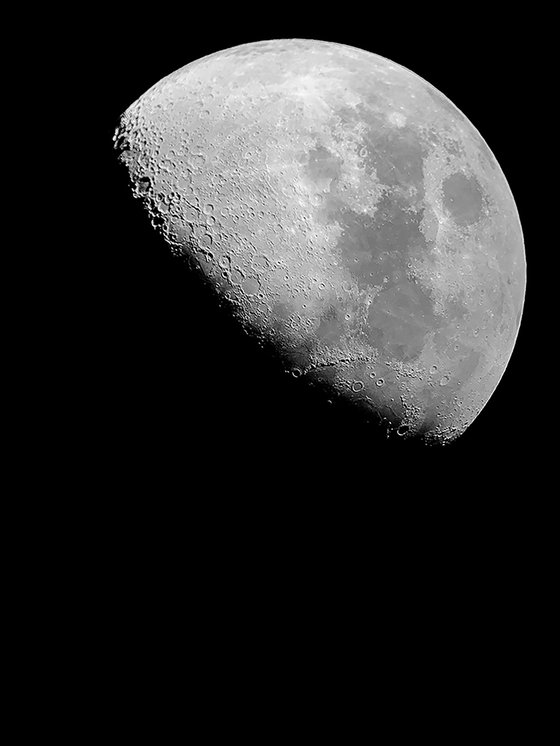THE HALF MOON