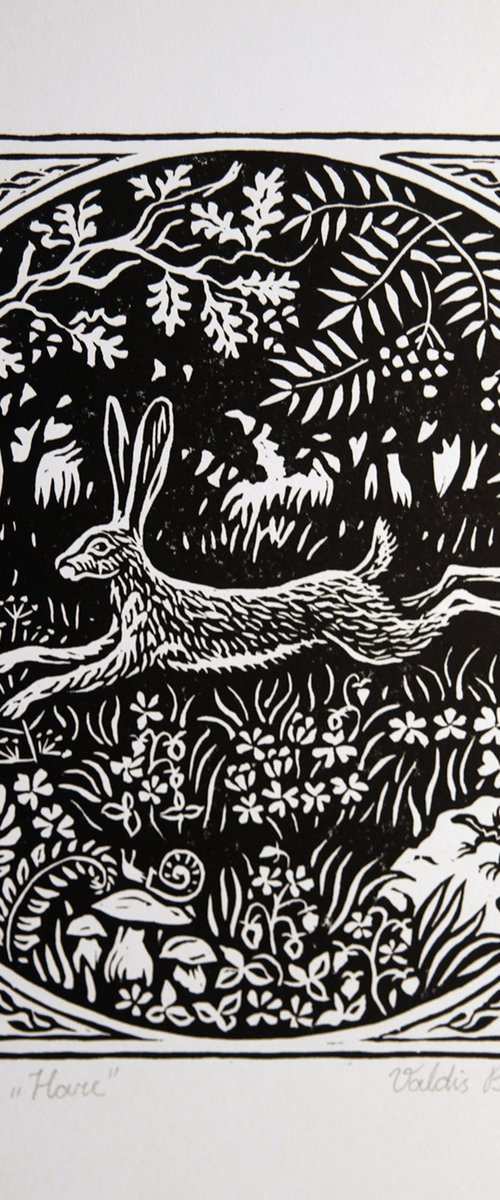 Hare linocut print. by Valdis Baskirovs