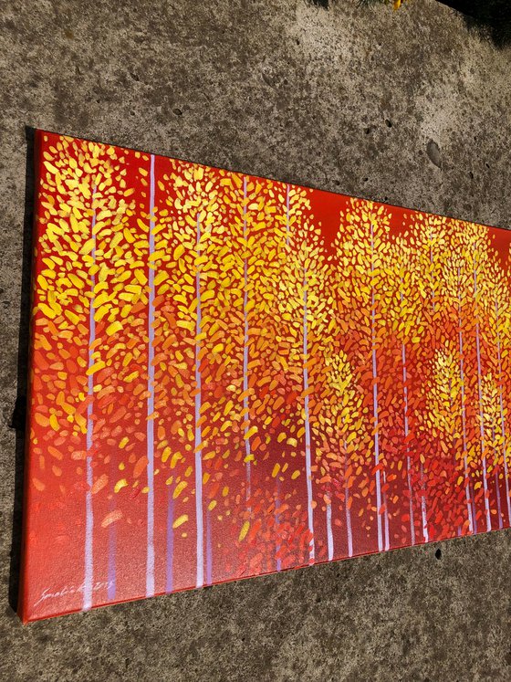 Luminous Forest