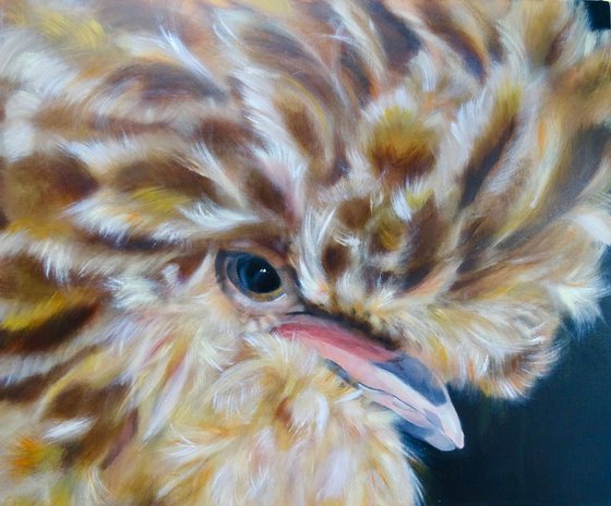 Tallulah,  Chicken original oil on box canvas