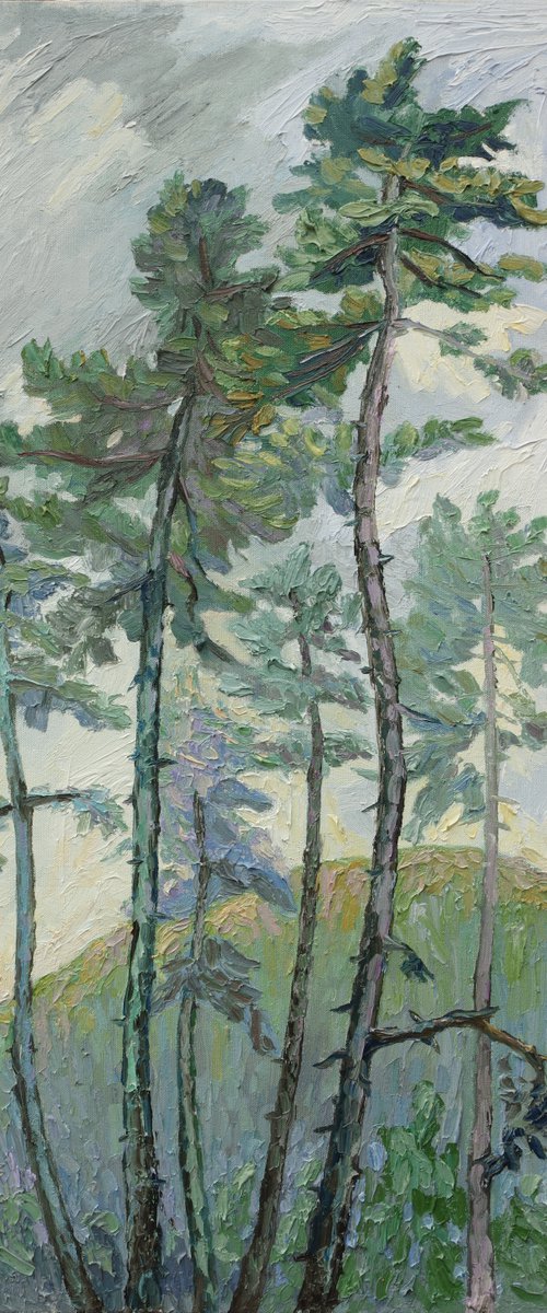 Pine Trees In Evening by Lilit Vardanyan