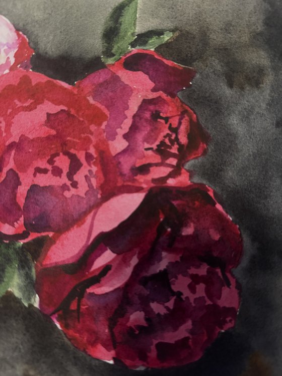 Whisper of Peonies