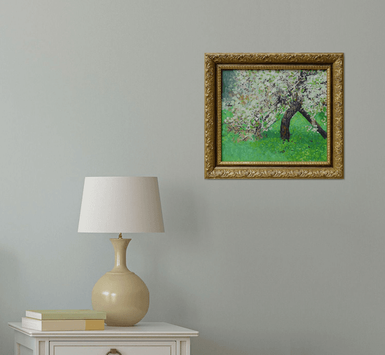 The cherry tree is in bloom