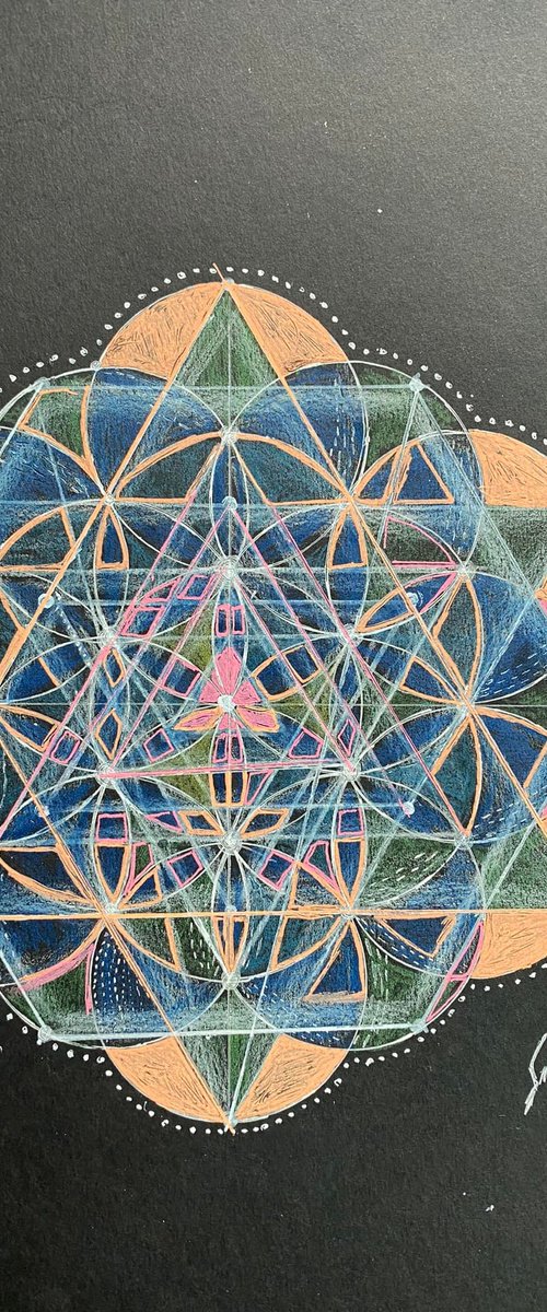 Seed of Life Study by Samah Kthar