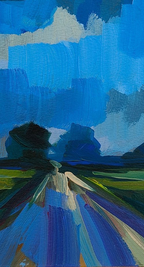 A road in Kildare by Artstuff