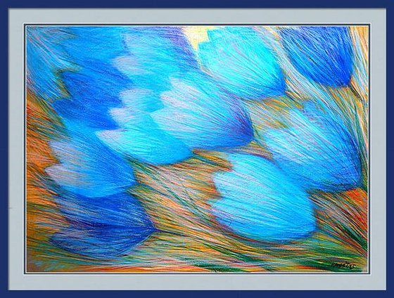 Tulips and Butterfly