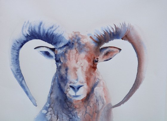 Ram painting "Aries"