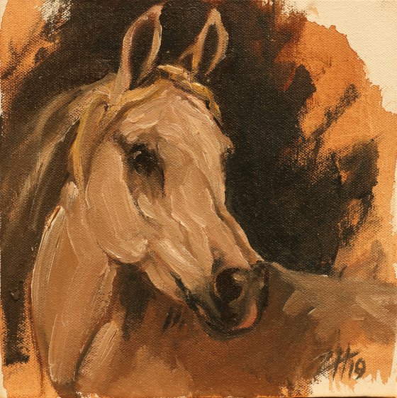 Equine Head Arab White (study 29)