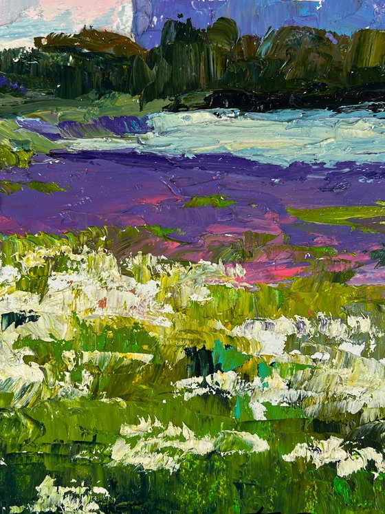 Meadows of Growing Flowers