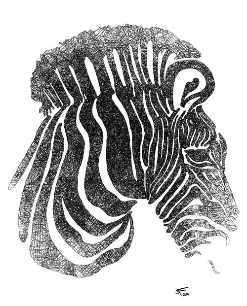 Zebra: Monochrome, Framed Artwork, 16 x20 inches, by Jeff Kaguri