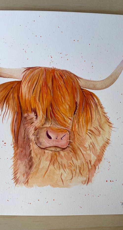 Highland cow by Bethany Taylor