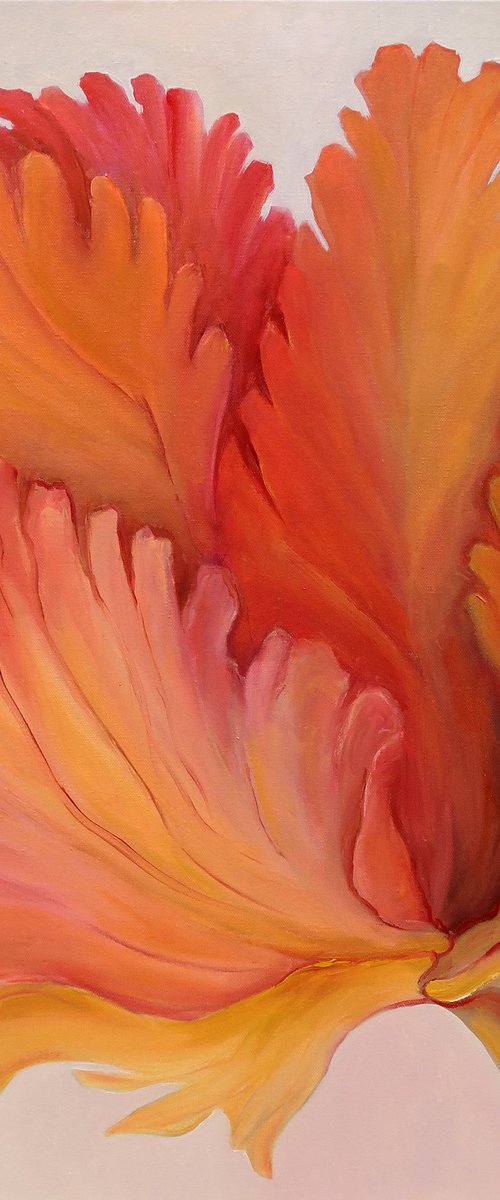 Curly Tulip by Veta  Barker