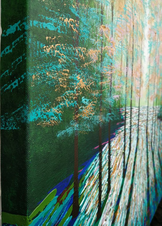 Secret Forest Shadow and Light