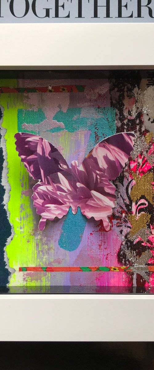 Mini Beauty  No7 - Abstract Butterfly in Box by Hernan Reinoso