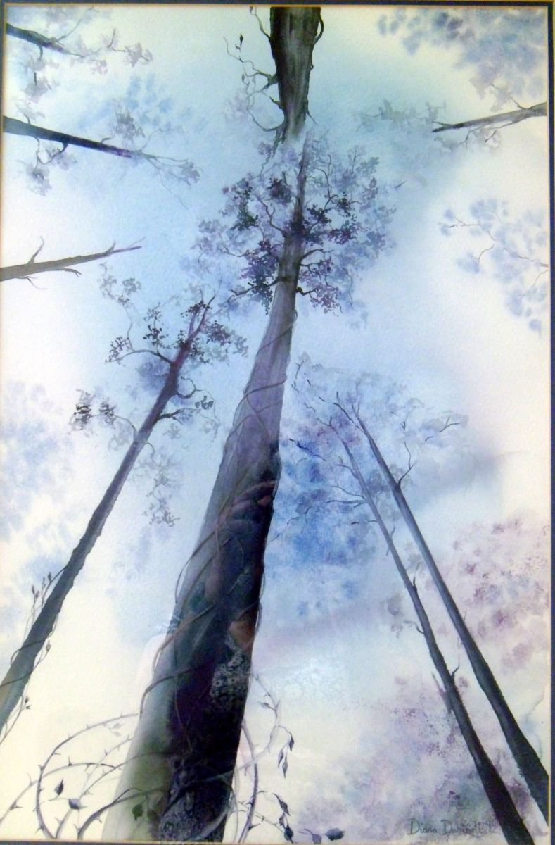 Treetops by Diana Dabinett