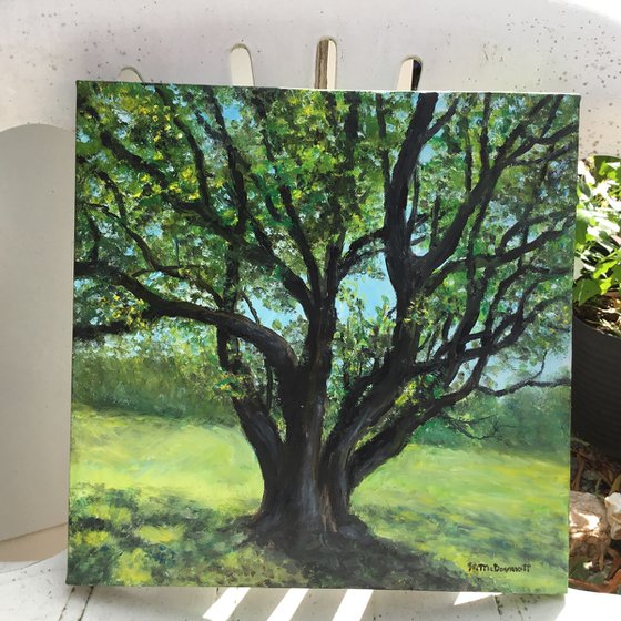 BOXELDER MAPLE IN MORNING SUN by K. McDermott (SOLD)